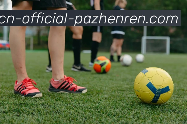 pa真人平台生态图